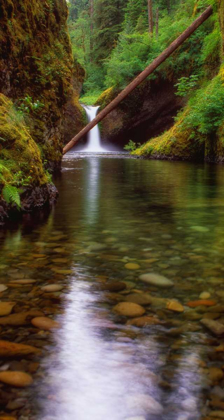 Picture of PUNCH BOWL FALLS