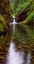 Picture of PUNCH BOWL FALLS