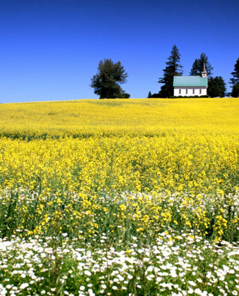 Picture of IDAHO CHURCH