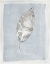 Picture of WINTER LEAF I