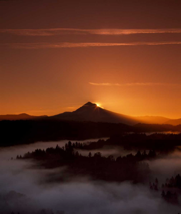 Picture of MT. HOOD XXVI