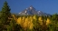 Picture of MT. JEFFERSON