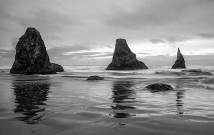 Picture of BANDON