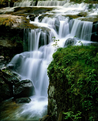 Picture of LOST CREEK FALLS