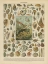 Picture of MOLLUSQUES