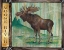 Picture of LODGE MOOSE