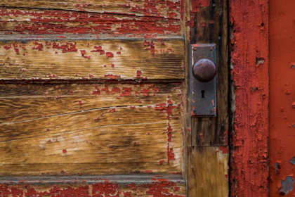 Picture of WEATHERED DOOR I