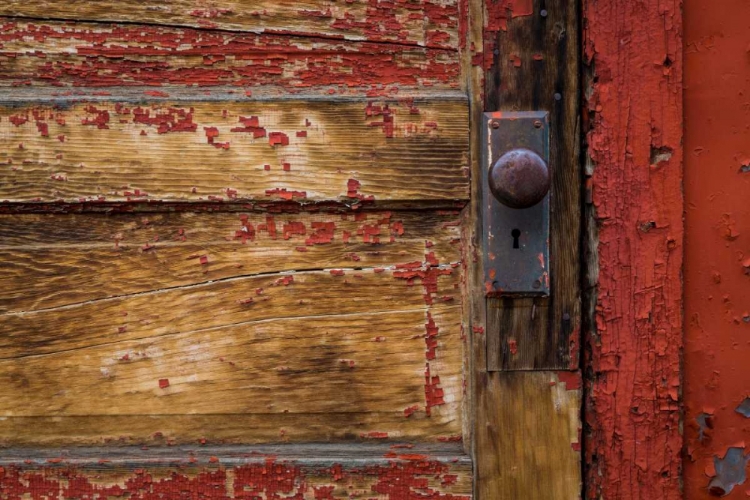 Picture of WEATHERED DOOR I