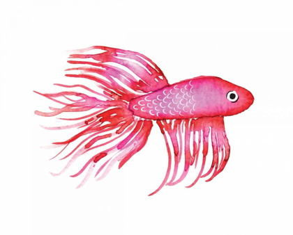 Picture of DEEP SEA PINK FISH