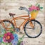 Picture of PETAL PUSHER III