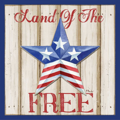 Picture of PATRIOTIC BARN STAR I