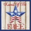 Picture of PATRIOTIC BARN STAR I