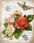 Picture of FRENCH BOTANICAL I