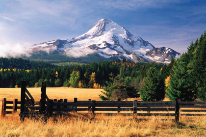 Picture of MT. HOOD X