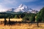 Picture of MT. HOOD X