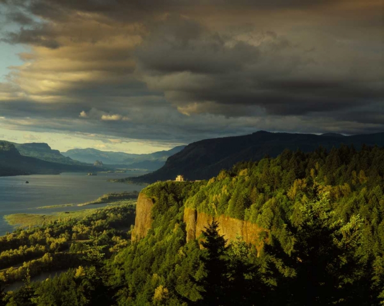 Picture of VISTA HOUSE I