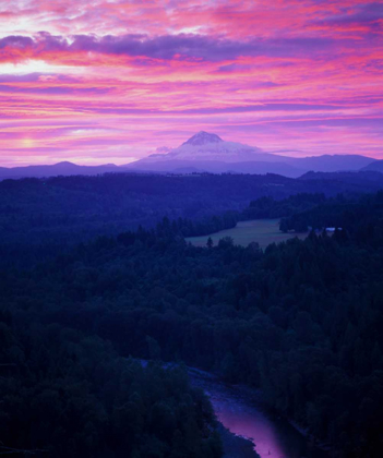 Picture of MT. HOOD XVII