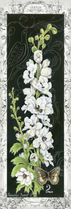 Picture of DELPHINIUM