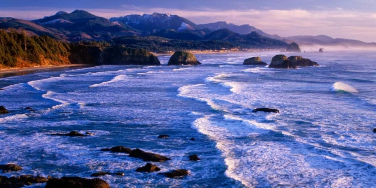 Picture of ECOLA STATE PARK IV