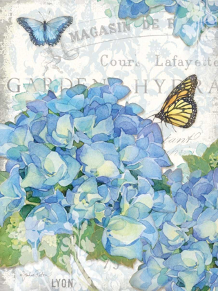 Picture of GARDEN HYDRANGEA I