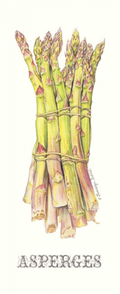 Picture of ASPERGES