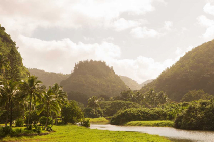 Picture of NORTH SHORE HAWAII