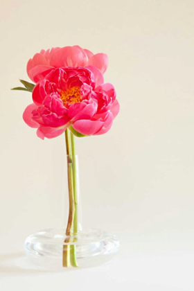Picture of PINK PEONIES IN VASE I