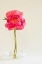 Picture of PINK PEONIES IN VASE I