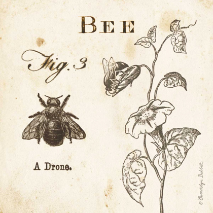 Picture of BEE FIG 3