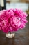 Picture of PEONIES IN VASE