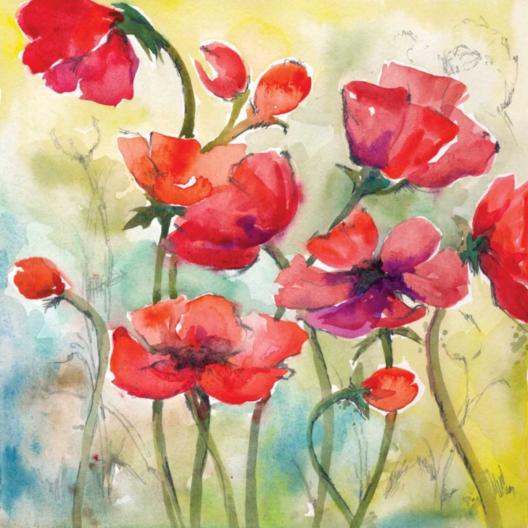 Picture of POPPY STUDY I