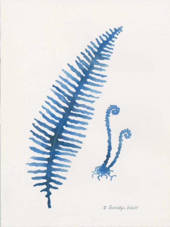 Picture of INDIGO FERN II