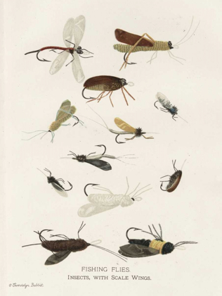 Picture of FISHING FLIES I