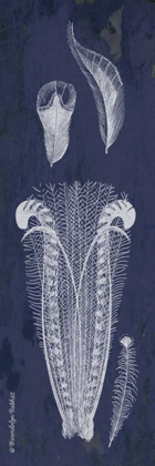 Picture of INDIGO FEATHERS I