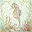 Picture of SEAHORSE III