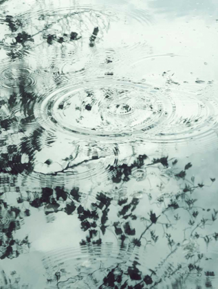 Picture of RIPPLES OF THE RAIN II