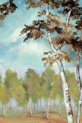 Picture of BIRCH FOREST II