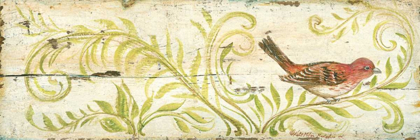 Picture of ECO FINCH
