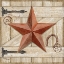 Picture of BARN STAR I