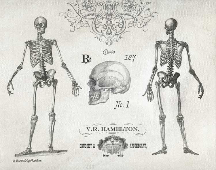 Picture of ELEGANT SKELETONS