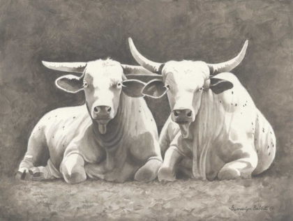 Picture of TWO WHITE BULLS