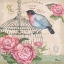 Picture of BELLA FLORA II