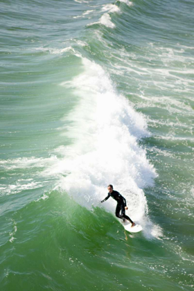 Picture of SURFING