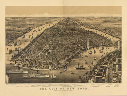 Picture of 1889 NYC MAP