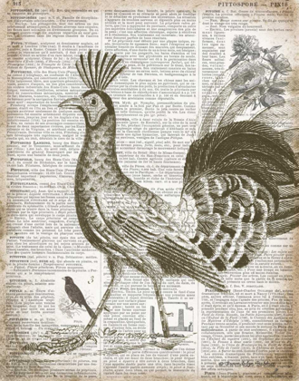 Picture of VINTAGE BIRD II