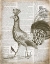 Picture of VINTAGE BIRD II