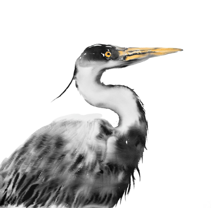 Picture of GREAT HERON