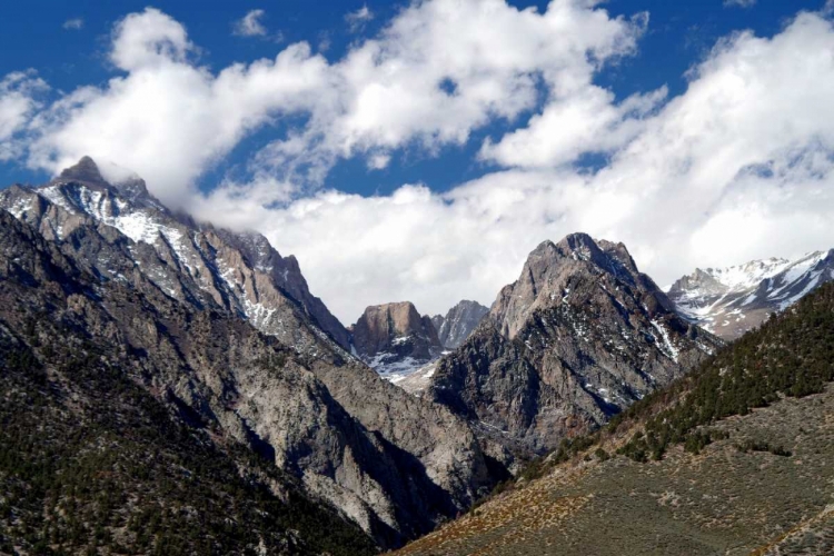 Picture of HIGH SIERRA SPRING