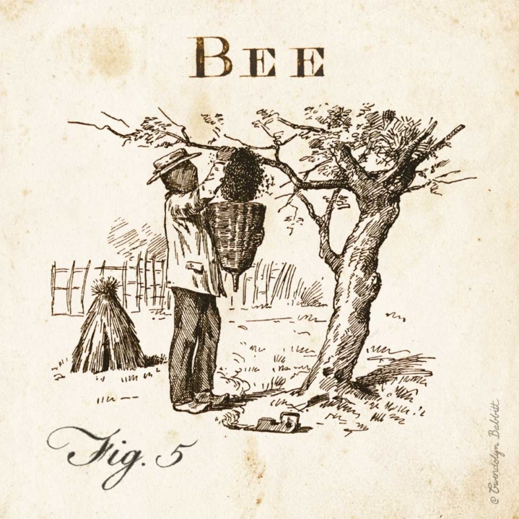 Picture of BEE FIG 5