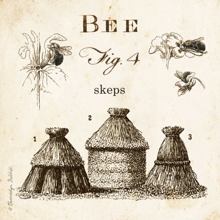 Picture of BEE FIG 4